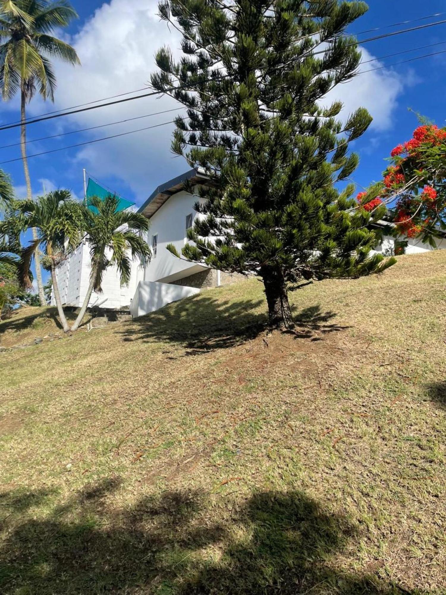 Villa Dava Tobago Exteriér fotografie